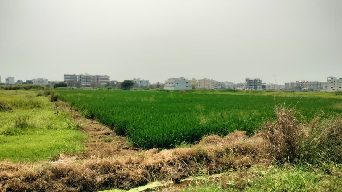 4 Acre Land Development for Apartments & Villas